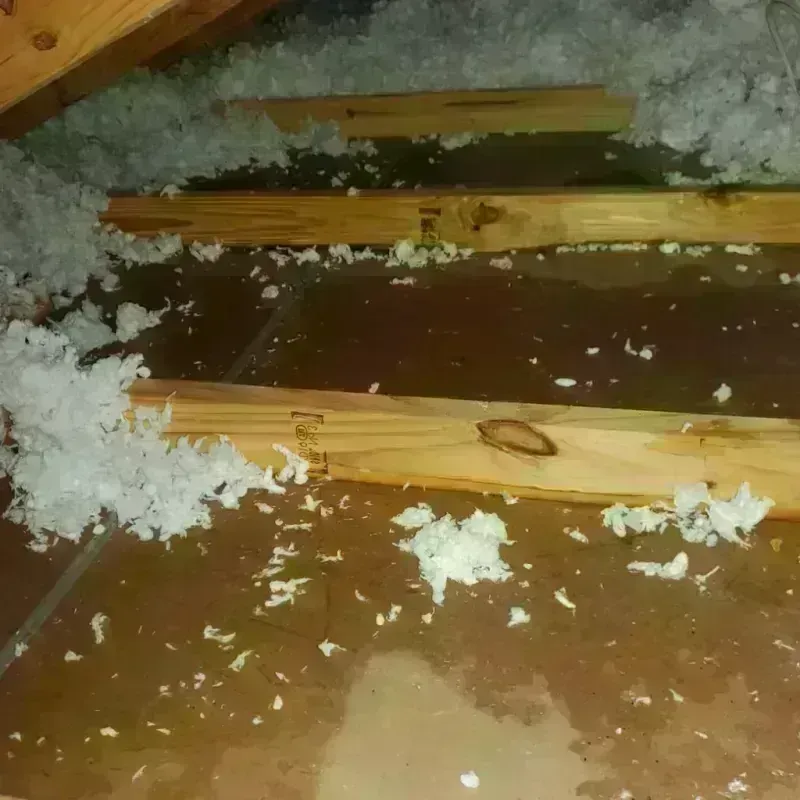 Attic Water Damage in Kit Carson County, CO