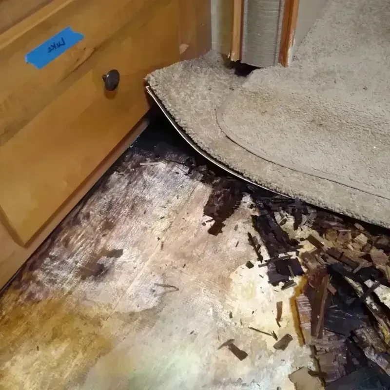 Wood Floor Water Damage in Kit Carson County, CO